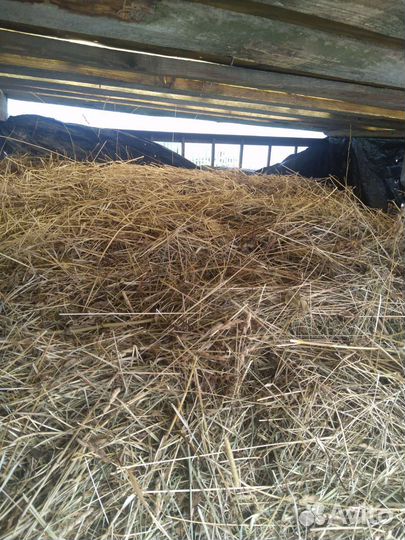 Сено в мешках