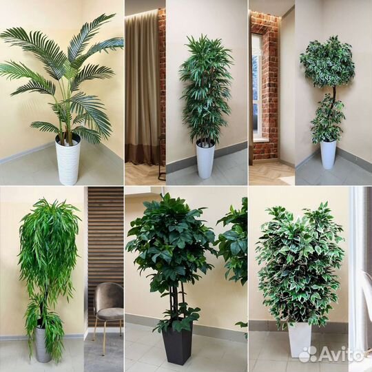 Фикус Любимый цветок искусственный деревья