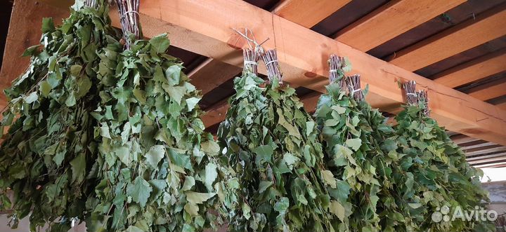 Березовые веники