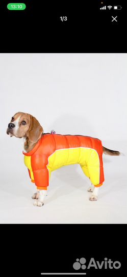 Комбинезон для собак