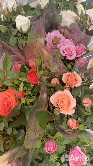 Клубника свежая