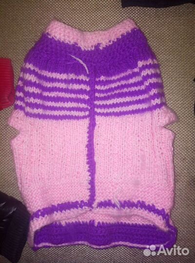 Шлейки и костюмы для маленьких собак