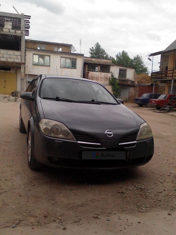 Nissan Primera: фото владельца