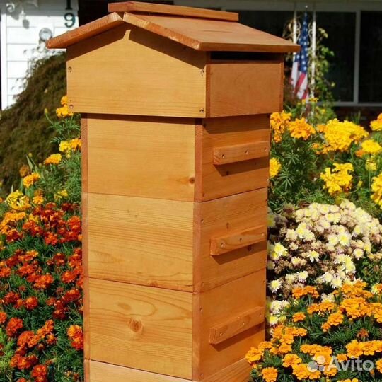 Мед Гречишный