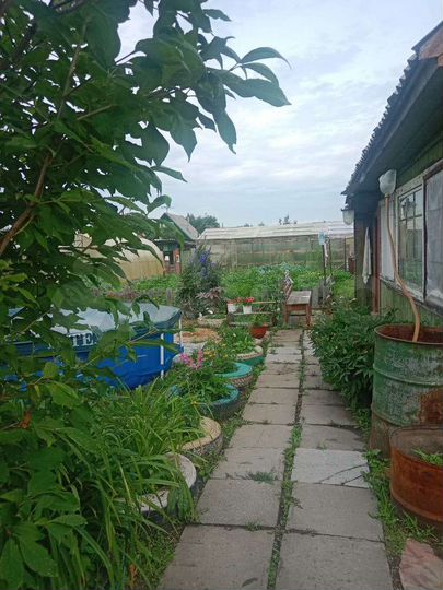 Дача 25 м² на участке 7,1 сот.