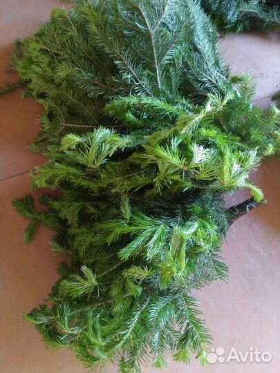 Веники для бани