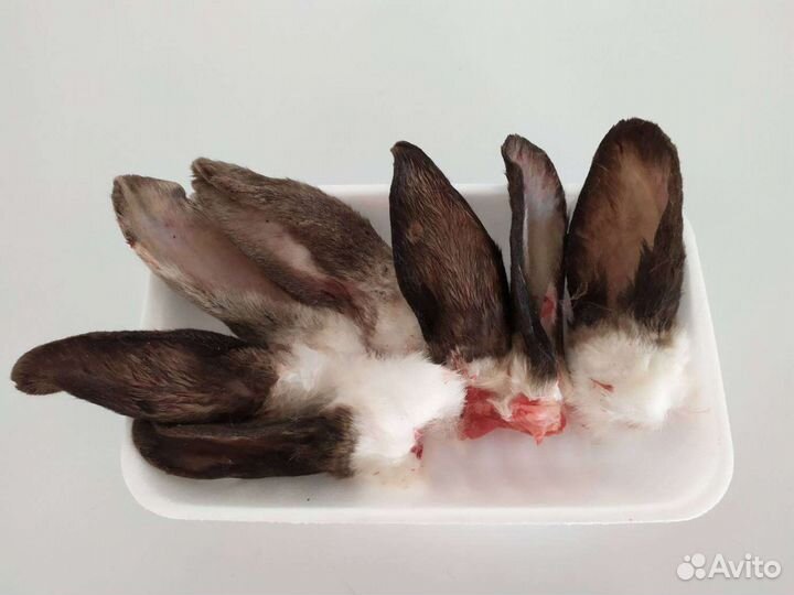 Мясо Кролика, Уши Кролика, Кролики на Племя