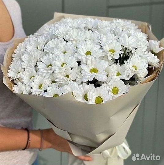 Хризантема Букеты с доставкой