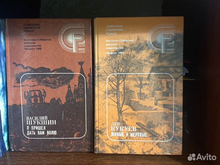 Сибирский роман