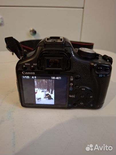 Фотоаппарат canon 500d