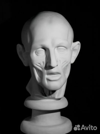 Экорше голова Гудона