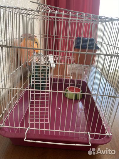 Продам клетку для хомячка