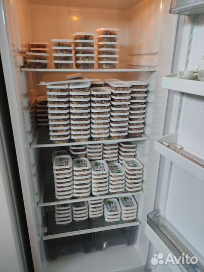 Морской червь нереис