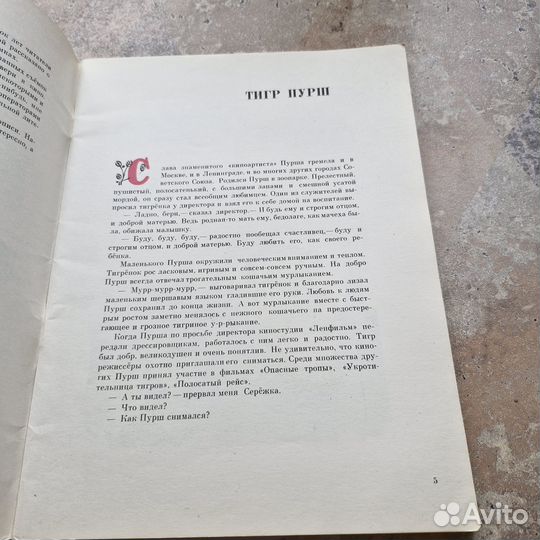 Кинозвезды поневоле. Михайлов. 1987 г