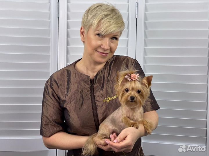 Стрижка собак/груминг