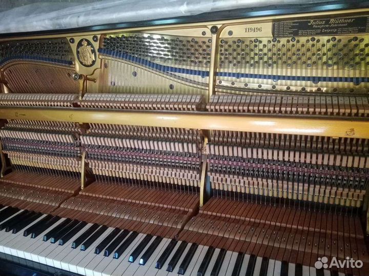 Пианино Bluthner