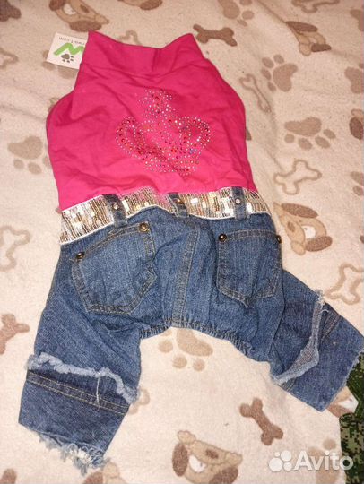 Вещи для собак, трусы, платья, шлейка, намордники