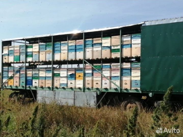 Чистейший мед Белой Акации