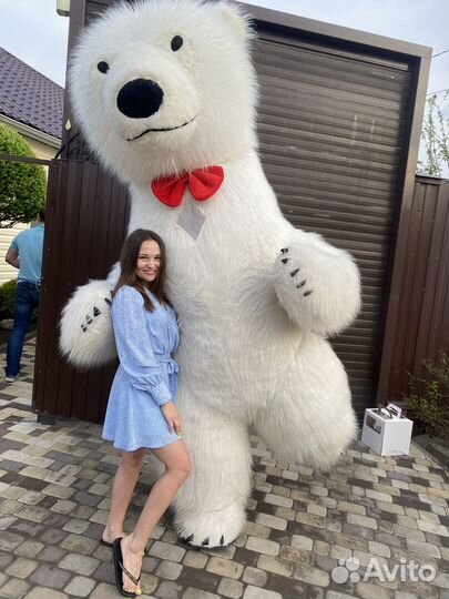 Белый мишка аниматор