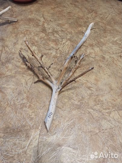 Коряги для аквариума