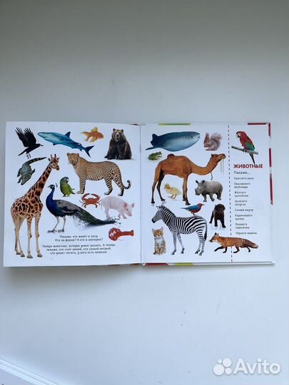 Книги для малышей clever 