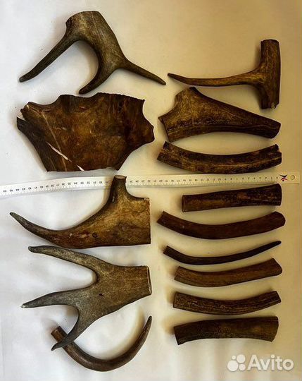 Лакомства для собак рога погрызушки