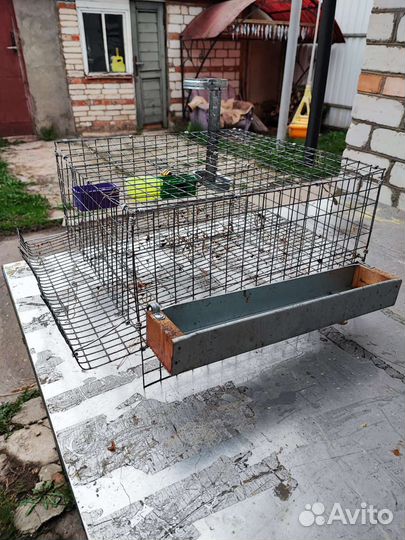 Клетка для перепелок