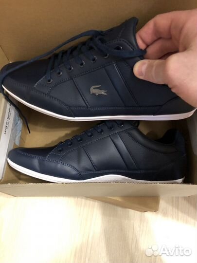 Кеды Lacoste Chaymon
