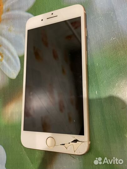 iPhone 8 Plus, 64 ГБ