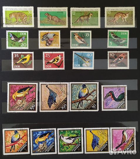 Коллекция марок