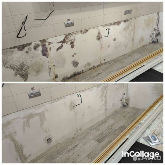 Уничтожение удаление плесени и грибка