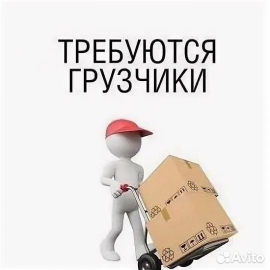 Требуются грузчики