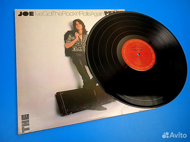 The Joe Perry Project 