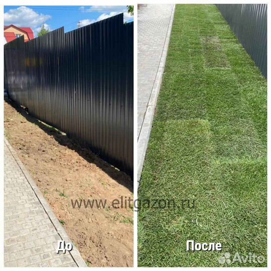 Укладка рулонного газона