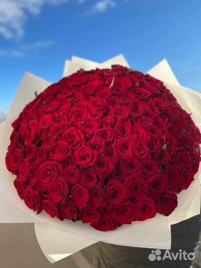 101 красная роза 50см доставка Самовывоз букет