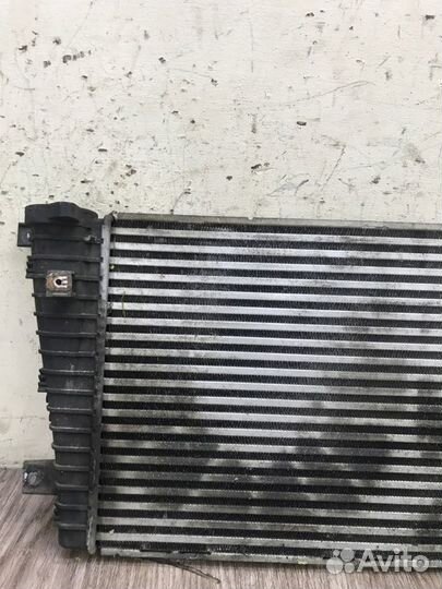 Интеркулер Opel Zafira B Z19DTH 2009