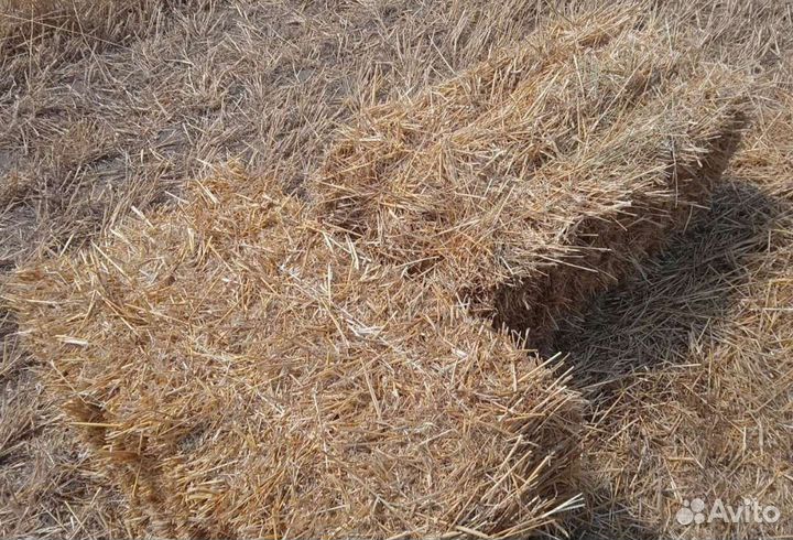 Солома в тюках