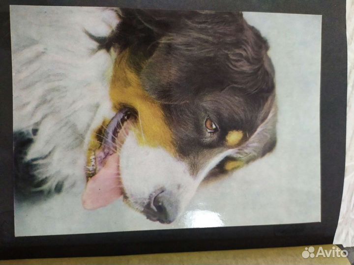 Коллекция открыток гдр 