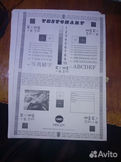 Принтер мфу WorkCentre Xerox 3025NI