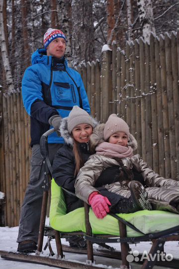 Катание на собачьих упряжках