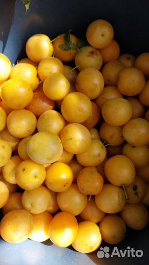 Соус ткемали