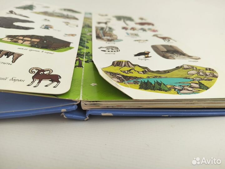 Найди и покажи (издательство Clever)