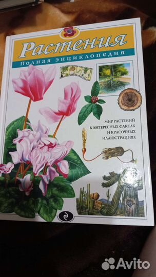 Энциклопедии