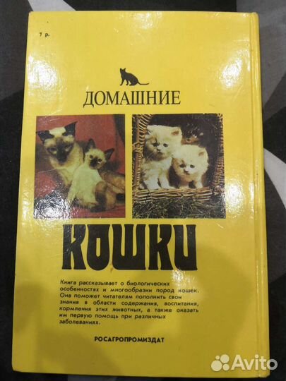 Домашние кошки