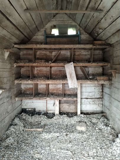 Голубятня продажа