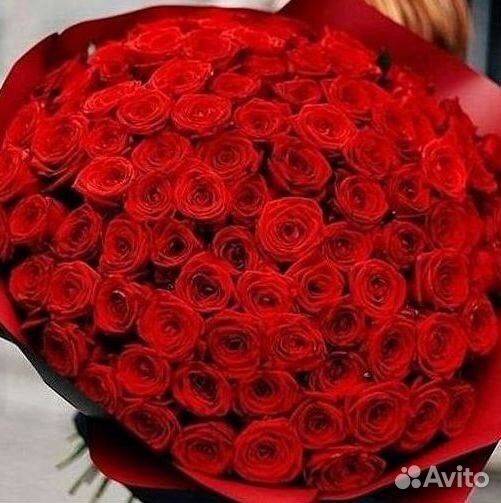 Высокие розы