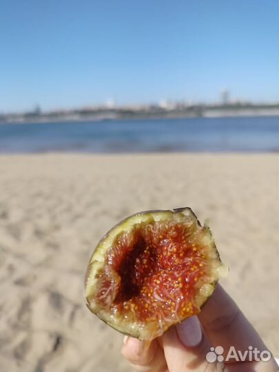 Абонемент в фитнес клуб с бассейном