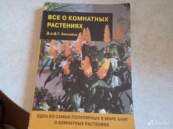 Сонник новый, Всё о комнатных растениях