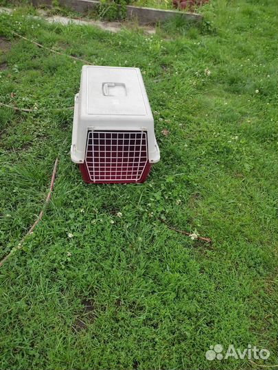 Бокс для собак 55/40/40 см, атлас 30, переносной