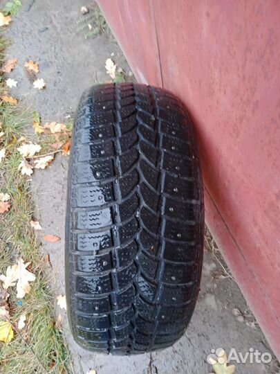 Tigar Sigura Stud 205/55 R16 94